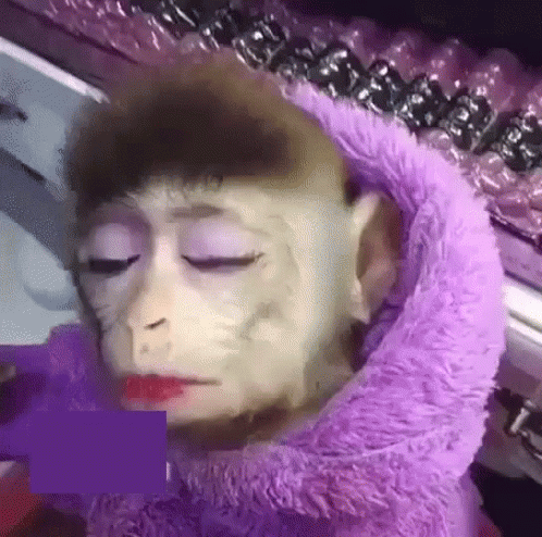 mono pintado