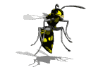 wasp hover md wht
