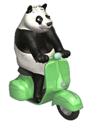 oso panda moto