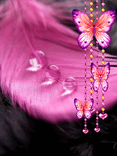 mariposas y plumas rosas