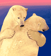 abrazo osos