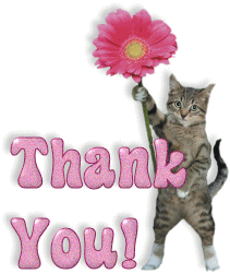 agradecimiento gatito flor