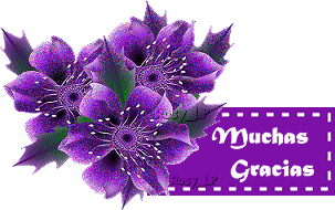 agradecimiento violeta