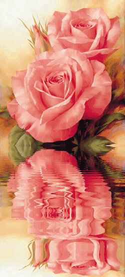 rosas agua animado