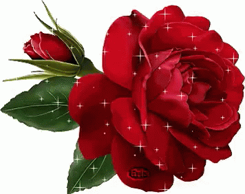 rosa roja brillos amor