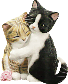 gatitos abrazo amor