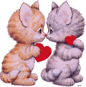 gatos amor