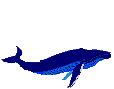 s animados animales ballenas