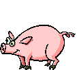s animados animales cerdo