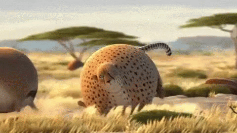 guepardo gacela globos