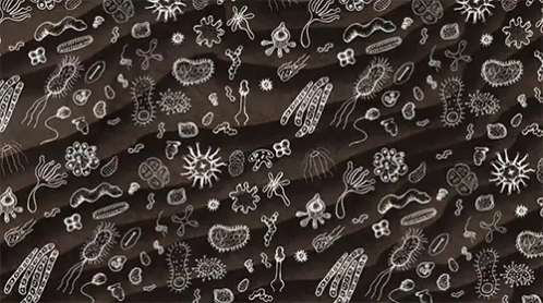 ▷ Gifs Animados de Bacterias - Gifs Animados