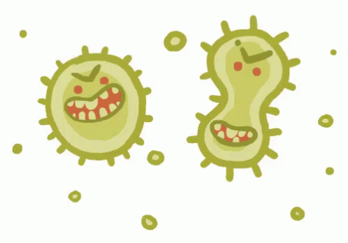 bacterias verdes