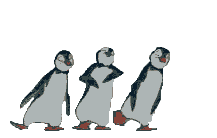 animados pinguinos baile divertido