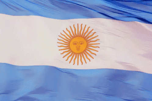 bandera argentina sol