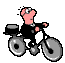 senor bici