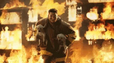 bombero salvando perritos