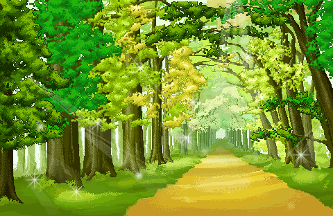 camino en bosque