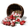 basket of radishes md wht