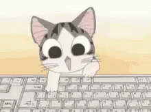 computadora gatito