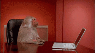 computadora mono tira