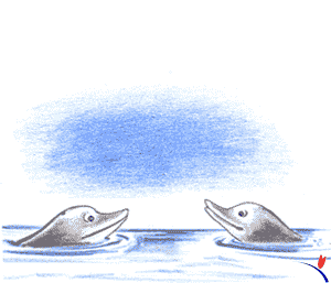 delfines romanticos