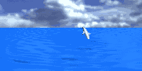 dolphin jmp sky animado