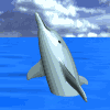 dolphin tread lg sky animado