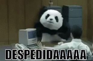 despedida panda