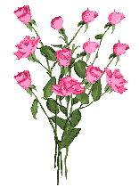s animados flores rosas