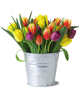 tulipanes brillantes