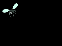 fly small b animado