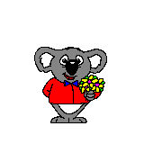 koala enamorado