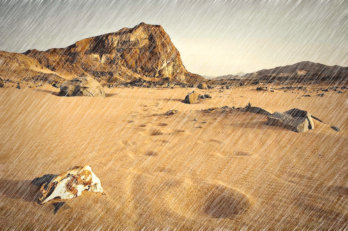 desierto con lluvia