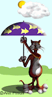 gato lluvia