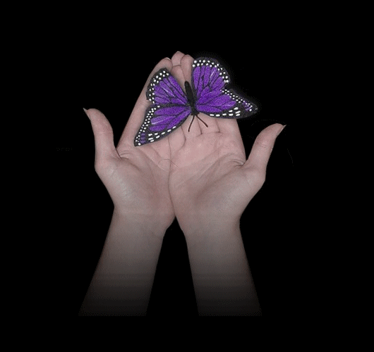 mariposa en las manos