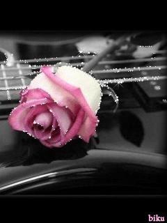 musica y rosas