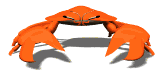 crab staredown md wht