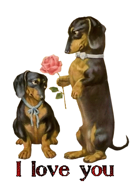 perros romanticos