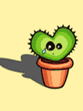 yaka cactus