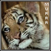 avatar tigre