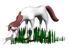 unicorn in grass eating md wht