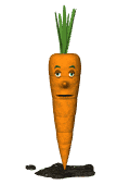 carrot blinking md wht