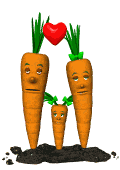 carrot family love md wht